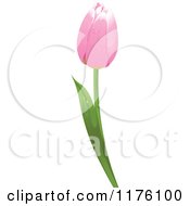 Clipart Of A Pink Tulip Flower With Dew Royalty Free Vector Illustration