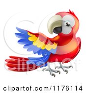 Poster, Art Print Of Presenting Scarlet Macaw Parrot