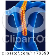 Clipart Of A 3d Xray Man With A Glowing Spine On Blue Royalty Free CGI Illustration