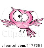Poster, Art Print Of Cross Eyed Pink Owl