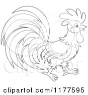 Poster, Art Print Of Black And White Rooster In Profile