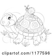 Poster, Art Print Of Black And White Snail Riding On A Cute Tortoise