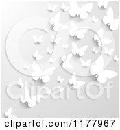 Poster, Art Print Of Gray Background With White Butterflies Wna Shadows
