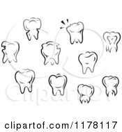 Poster, Art Print Of Black And White Molar Teeth