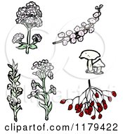 Clip Art Of Wildflowers Royalty Free Vector Illustration