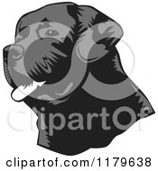 Poster, Art Print Of Panting Black Lab Dog Face