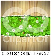 Clipart Of A Torn Wood Background With Clovers Flowers And Ladybugs In The Center Royalty Free Vector Illustration