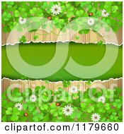 Poster, Art Print Of Torn Wood Background With Clovers Flowers And Ladybugs