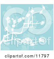 Poster, Art Print Of Blue Background With White Spring Blossoms