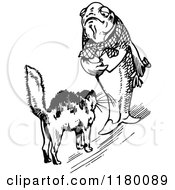 Poster, Art Print Of Black And White Scared Cat And Fish