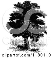 Clipart Of A Retro Vintage Black And White Bread Fruit Tree Royalty Free Vector Illustration