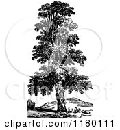 Poster, Art Print Of Retro Vintage Black And White Tree 2