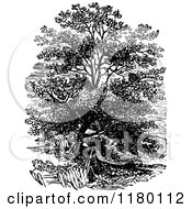 Poster, Art Print Of Retro Vintage Black And White Tree