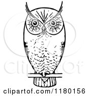 Poster, Art Print Of Retro Vintage Black And White Owl Perched