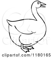 Clipart Of A Black And White Goose Royalty Free Vector Illustration