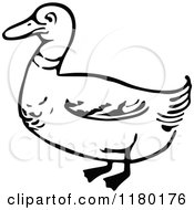 Poster, Art Print Of Black And White Duck