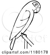 Poster, Art Print Of Black And White Perched Parrot