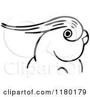 Poster, Art Print Of Black And White Parrot 2