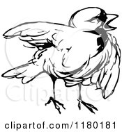 Poster, Art Print Of Black And White Chick