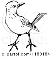 Poster, Art Print Of Black And White Bird