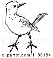 Clipart Of A Black And White Bird Royalty Free Vector Illustration