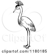 Poster, Art Print Of Black And White Crested Crane Bird