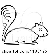 Clipart Of A Black And White Sketched Squirrel Royalty Free Vector Illustration by Prawny Vintage