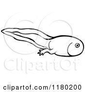 tadpole clipart black and white