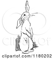 Clipart Of A Black And White Rabbit Royalty Free Vector Illustration