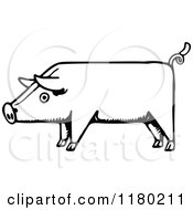 Clipart Of A Black And White Sketched Pig Royalty Free Vector Illustration