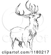 Clipart Of A Black And White Sketched Stag Deer Royalty Free Vector Illustration