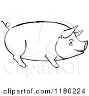 Poster, Art Print Of Black And White Sketched Pig 2