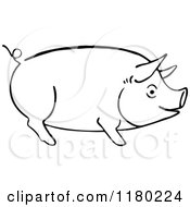 Clipart Of A Black And White Sketched Pig 2 Royalty Free Vector Illustration