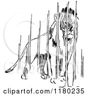 Clipart Of A Retro Vintage Black And White Caged Lion Royalty Free Vector Illustration