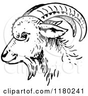 Poster, Art Print Of Black And White Goat Head In Profile