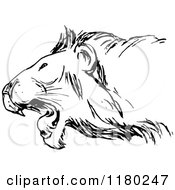 Poster, Art Print Of Black And White Roaring Lion