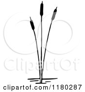 Clipart Of A Retro Vintage Black And White Cattail Plant Royalty Free Vector Illustration by Prawny Vintage