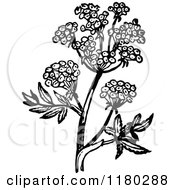 Poster, Art Print Of Retro Vintage Black And White Flowering Plant 2