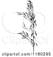 Clipart Of A Retro Vintage Black And White Oat Plant Royalty Free Vector Illustration