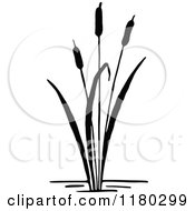 Poster, Art Print Of Retro Vintage Black And White Cattail Plant 3
