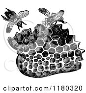 Poster, Art Print Of Retro Vintage Black And White Piece Of Honeycomb And Bees