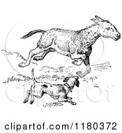 Clipart Of A Retro Vintage Black And White Dog Chasing A Donkey Royalty Free Vector Illustration