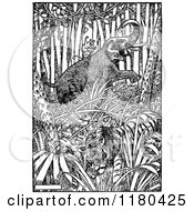 Poster, Art Print Of Retro Vintage Black And White Elephant Monkey And Tiger In The Jungle