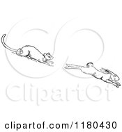 Clipart Of A Retro Vintage Black And White Ermine Weasel Chasing A Rabbit Royalty Free Vector Illustration