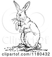Clipart Of A Retro Vintage Black And White Rabbit Royalty Free Vector Illustration