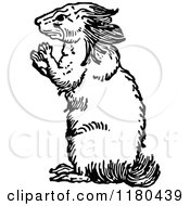 Clipart Of A Retro Vintage Black And White Porcupine Royalty Free Vector Illustration