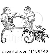 Clipart Of Retro Vintage Black And White Monkeys In A Tree Royalty Free Vector Illustration