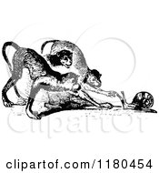 Clipart Of A Retro Vintage Black And White Snail And Monkeys Royalty Free Vector Illustration