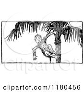 Clipart Of A Retro Vintage Black And White Monkey In A Palm Tree Royalty Free Vector Illustration