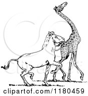 Clipart Of A Retro Vintage Black And White Horse Amd Giraffe Royalty Free Vector Illustration